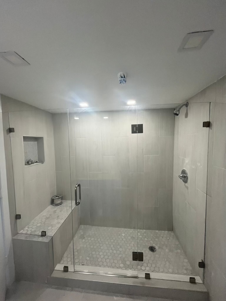 Hinged Frameless Door